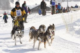 Lenk 2012 SM
